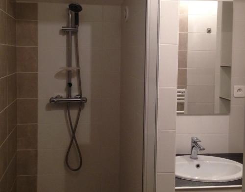 ducha con cabezal de ducha junto a un lavabo en Le petit Alpaga, en Les Herbiers