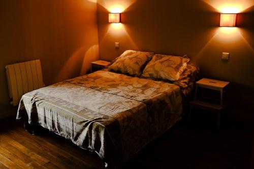 1 dormitorio con 1 cama y 2 luces en la pared en Le petit Alpaga, en Les Herbiers