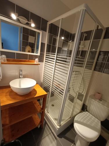 a bathroom with a shower and a toilet and a sink at CONTACT HOTEL LE BOIS SAUVAGE in Saint-Agrève