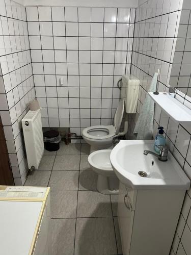 Gallery image of CASA LUCIAN in Cîrţişoara