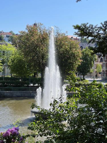 a fountain in the middle of a pond at Goethe Palais Suite Zauberlehrling 4P l Lift l Parkplatz I Zentrum I Helios in Aue