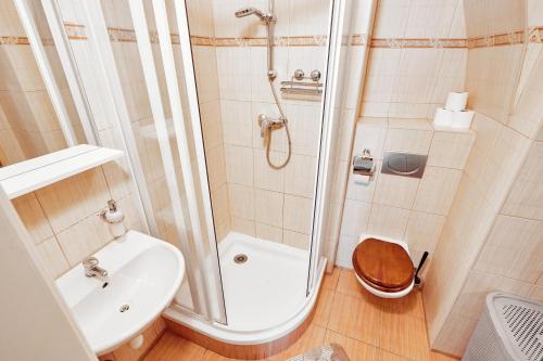 a bathroom with a shower and a toilet and a sink at At the Blue Lion & Parking Assistance in Prague