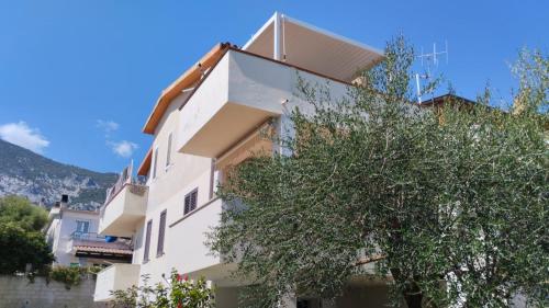 a white building with a tree in front of it at BILOCALE CON VISTA MARE E MON in Cala Gonone