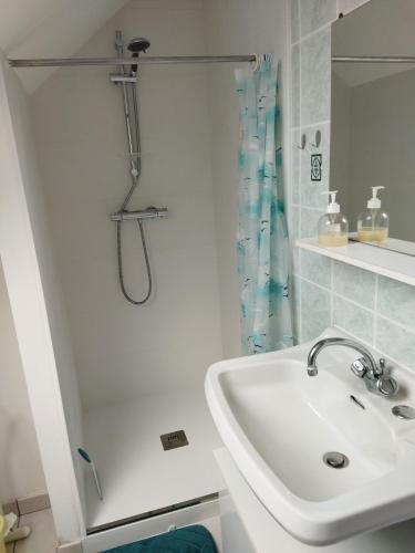 une salle de bain blanche avec une douche et un lavabo dans l'établissement Le petit chez nous, à Trégueux