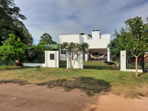 un perro parado frente a una casa blanca en La Lechuzona- Country Rincon SantaMaria en Ituzaingó