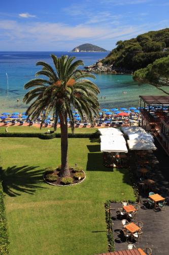 a palm tree next to a beach with umbrellas at Hotel Desiree in Procchio
