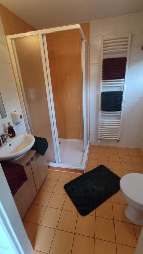 bagno con doccia, lavandino e servizi igienici di Rodinný Apartmán Adléta a Horní Bečva
