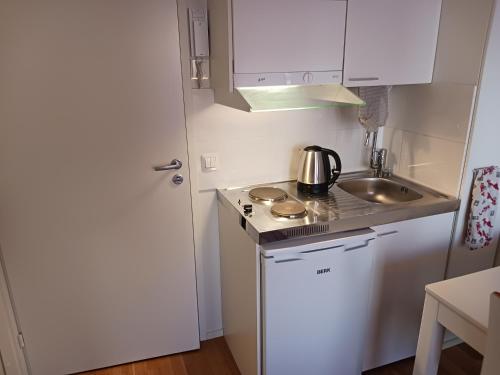 a small kitchen with a stove and a sink at Studio Pohjola in Rovaniemi