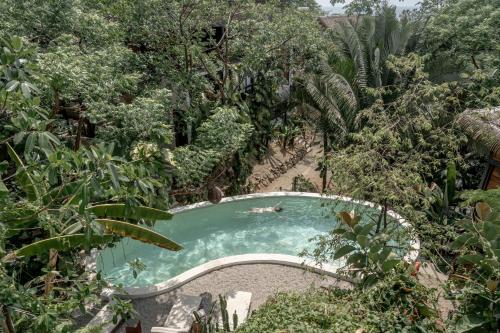 una piscina en medio de un bosque en Casa Selva Sayulita en Sayulita