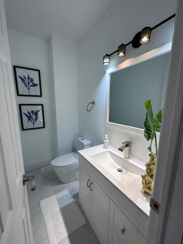 uma casa de banho com um lavatório, um WC e um espelho. em Toronto GREAT Located em Toronto