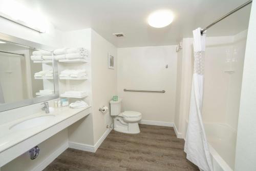 uma casa de banho branca com um WC e um lavatório em Hampton Inn Jacksonville - East Regency Square em Jacksonville