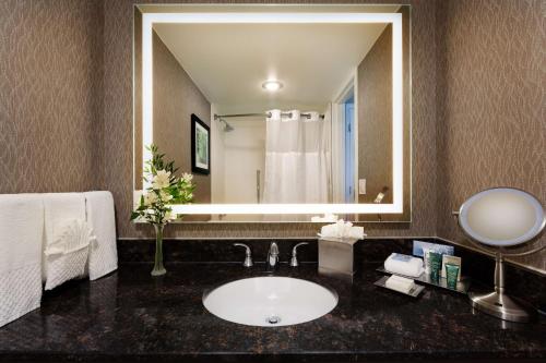 a bathroom with a sink and a large mirror at Hilton Cincinnati Airport in Florence