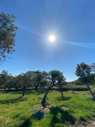 un campo con árboles y el sol en el cielo en Casa La Rocita, en Badajoz