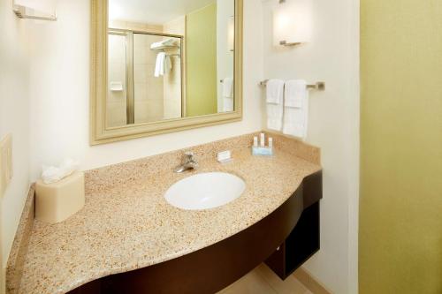 Hilton Garden Inn Savannah Midtown في سافانا: حمام مع حوض ومرآة