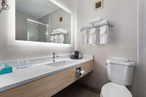 Clarion Hotel & Convention Center Joliet tesisinde bir banyo