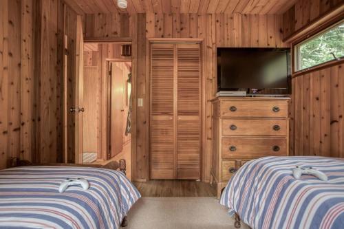 Μια τηλεόραση ή/και κέντρο ψυχαγωγίας στο Chez Nous Chalet - Meredith Lodging