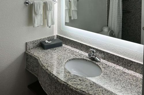 eine Badezimmertheke mit einem Waschbecken und einem Spiegel in der Unterkunft MainStay Suites in Conover