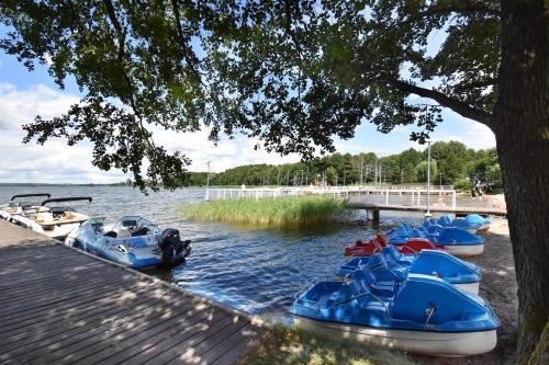 a group of blue boats parked in the water at Dadaj Park Home in Biskupiec