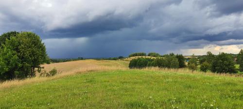 a field of grass with a cloudy sky and trees at Dadaj Park Home in Biskupiec