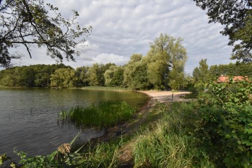 a shore of a lake with trees in the background at Dadaj Park Home in Biskupiec