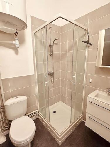 a bathroom with a shower and a toilet and a sink at Studio de la Belle Vue in Charleville-Mézières