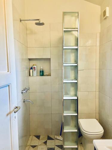 ein Badezimmer mit Dusche und Toilette in der Unterkunft Villa Vert in Beccar