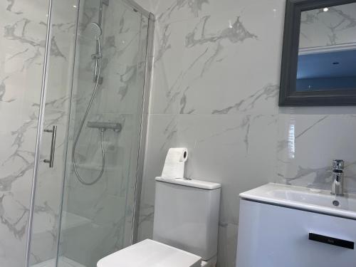 a bathroom with a shower and a toilet and a sink at MJ Serviced Apartment up to 6 Guest - Luxurious living in West London next to Tube station & Central London in Hanwell