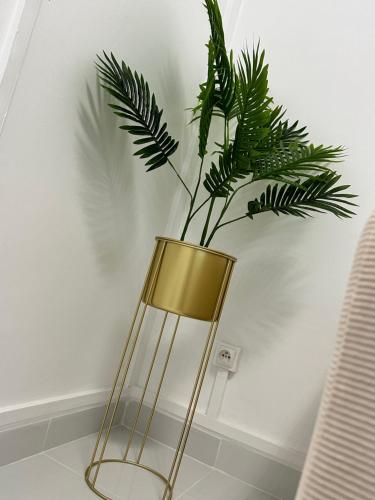 a vase with a plant in it on a table at CYRUS H-Housse cœur de ville in Pointe-à-Pitre