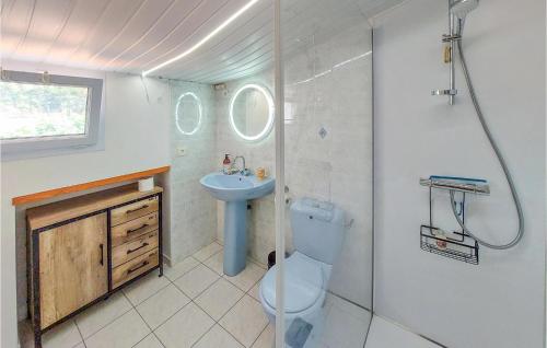 een badkamer met een toilet, een wastafel en een douche bij Amazing Home In Les Sables Dolonne With Kitchen in Saint-Martin-de-Brem