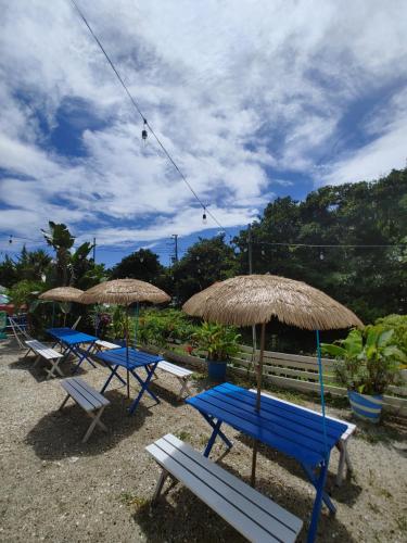 a group of blue chairs and umbrellas on a beach at Guest House Churaumi in Shimoda