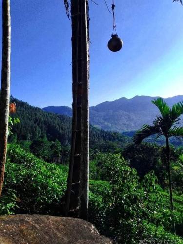 a view of a valley with a palm tree and a light at Hamadhi guest in Haldummulla