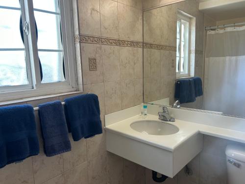 y baño con lavabo, espejo y toallas azules. en Welcome Inn, en Los Ángeles
