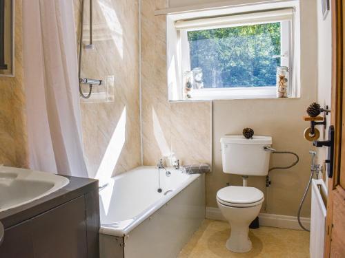 a bathroom with a toilet and a sink and a window at Brookside Cottage in Copley