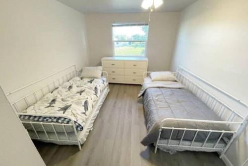 sypialnia z 2 łóżkami i oknem w obiekcie Tropical Retreat w mieście Clearwater Beach