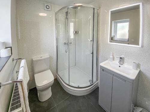 a bathroom with a shower and a toilet and a sink at Ivy Cottage in Dent