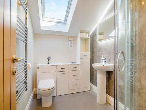 a bathroom with a toilet and a sink and a skylight at Wye Nest in Fownhope