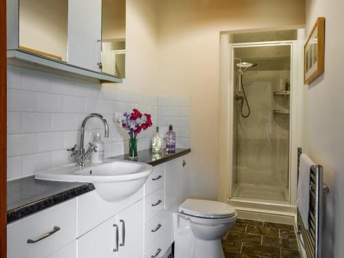 a bathroom with a toilet and a sink and a shower at Millstream - Uk45183 in Penton