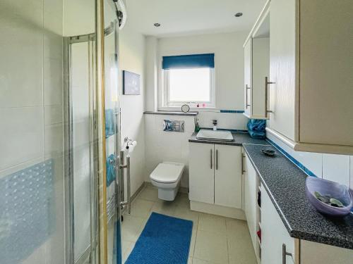 a bathroom with a toilet and a sink and a shower at Gramsdale House in Gramisdale