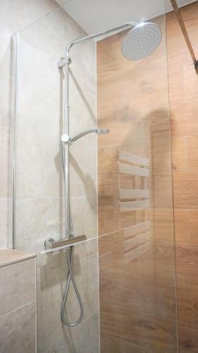 une douche avec une porte vitrée dans une salle de bain dans l'établissement Centre Cannes, Le Grand Turkheim By Palmazur Vacances, à Cannes