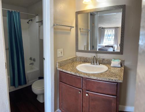 La salle de bains est pourvue d'un lavabo, de toilettes et d'un miroir. dans l'établissement LIBERTY INN, à Kissimmee