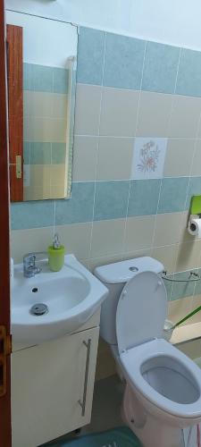 Saint-Louis的住宿－HAUT DE VILLA VU SUR LA MONTAGNE.，浴室配有白色卫生间和盥洗盆。