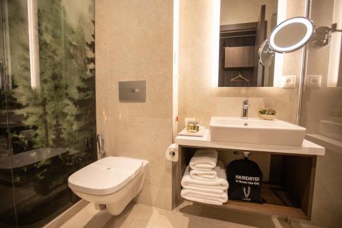 a bathroom with a sink and a toilet and a mirror at The Hunter's Lodge Kamnik in Skopje