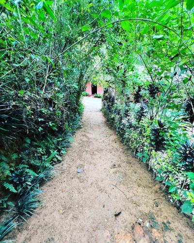 a path through a tunnel of trees and plants at Ella Secret Paradise in Ella