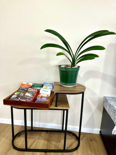 a potted plant on a table with books at Steam Land Stay in Rotorua
