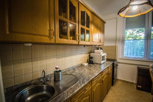 eine Küche mit einer Spüle und einer Mikrowelle in der Unterkunft Főtér Apartman in Szarvas