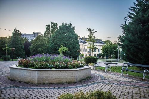 Κήπος έξω από το Főtér Apartman