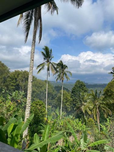 a view of the jungle from a resort with palm trees at Oemah Omang Guest House Manggissari in Pulukan