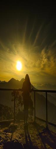 a person standing next to a fence with the sun at Nature Zone Jungle Resort in Munnar