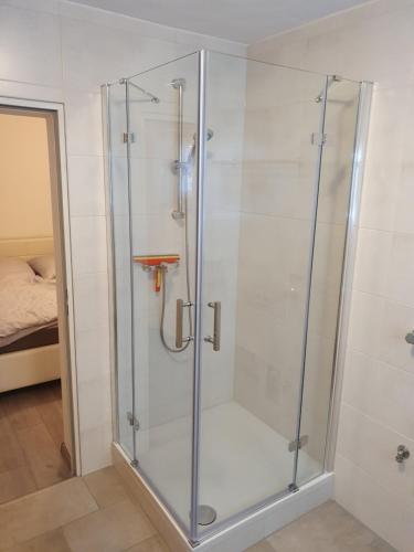 a shower with a glass door in a bathroom at Ferienwohnung-Pera in Andernach