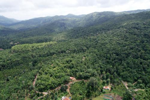 an aerial view of a forest with mountains in the background at Kotibetta Homestay - Mountains View, River & Trek in Chikmagalūr